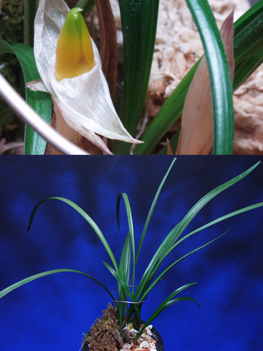 ������ ū������ �� �� �ֽ��ϴ�.