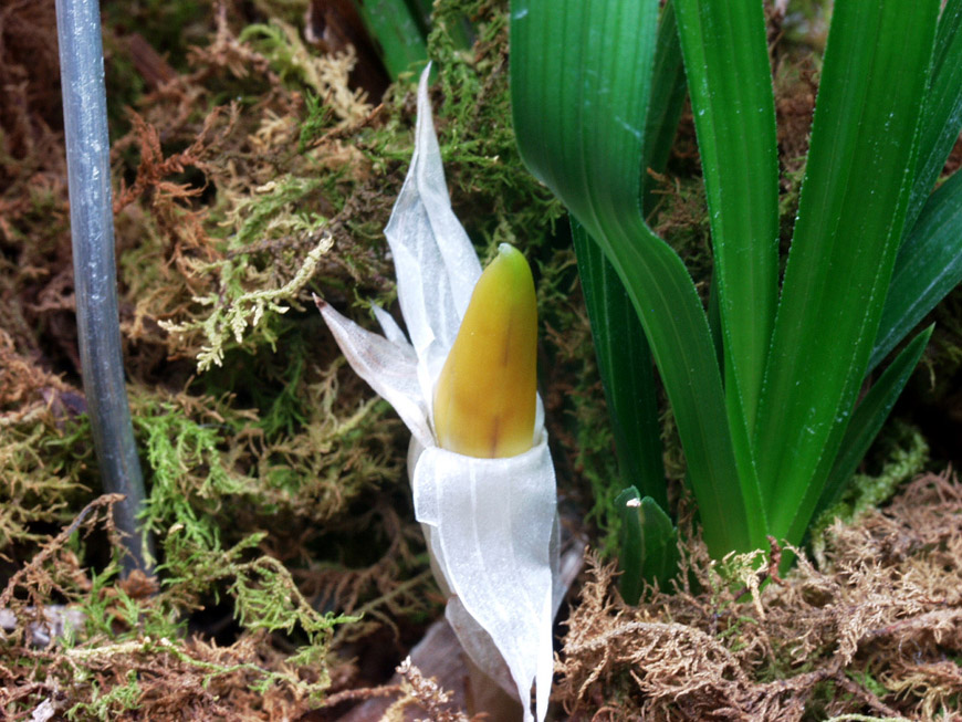 ������ ū������ �� �� �ֽ��ϴ�.