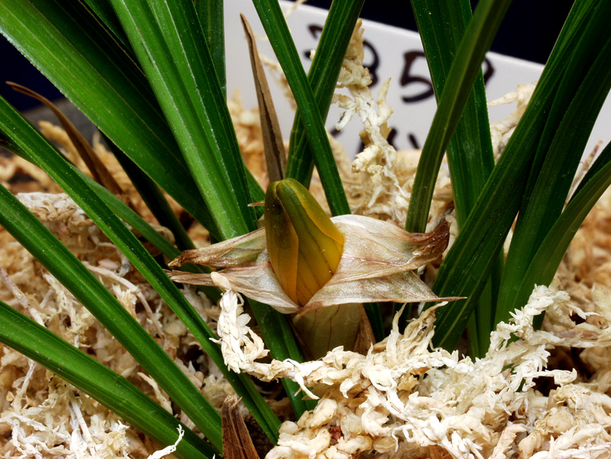 ������ ū������ �� �� �ֽ��ϴ�.