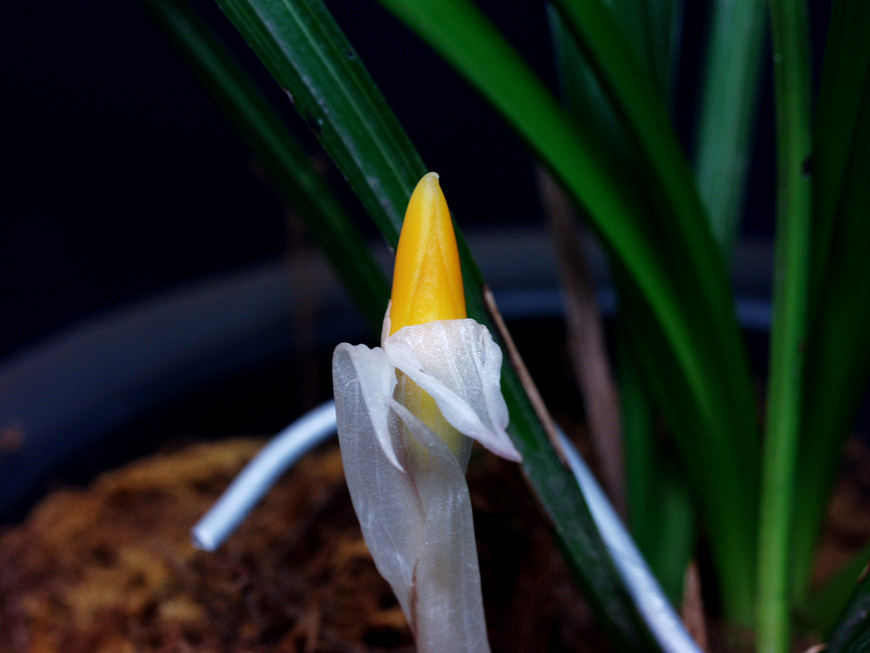 ������ ū������ �� �� �ֽ��ϴ�.