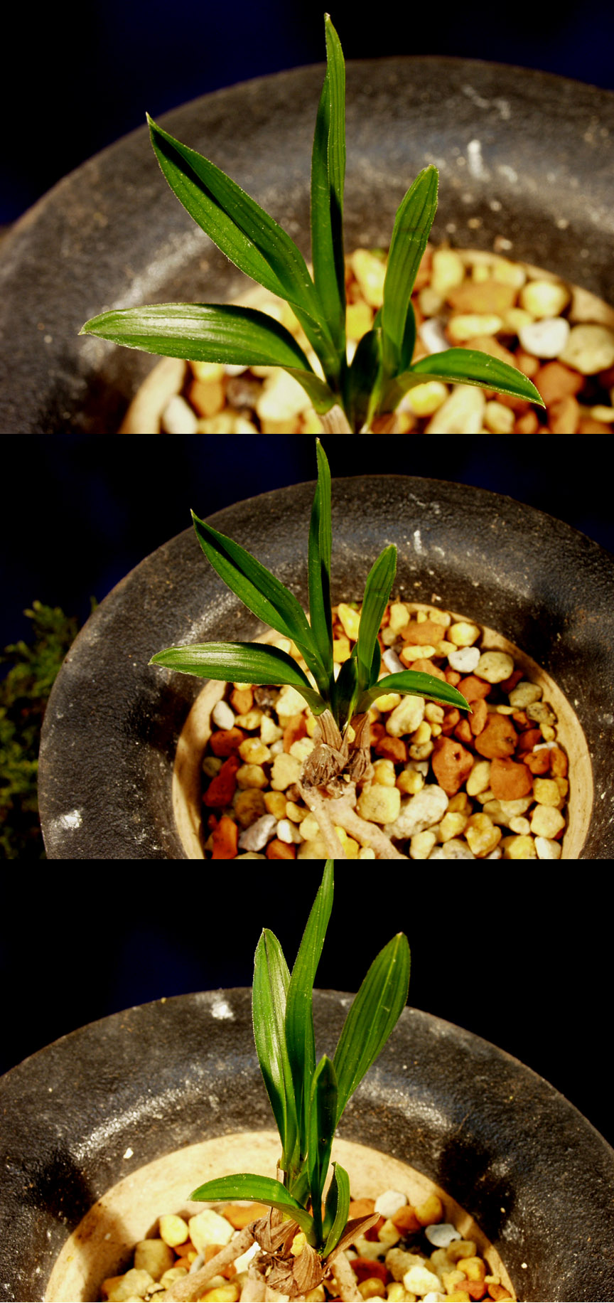 ������ ū������ �� �� �ֽ��ϴ�.