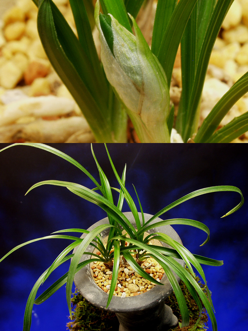 ������ ū������ �� �� �ֽ��ϴ�.