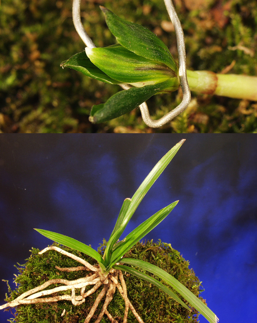 ������ ū������ �� �� �ֽ��ϴ�.