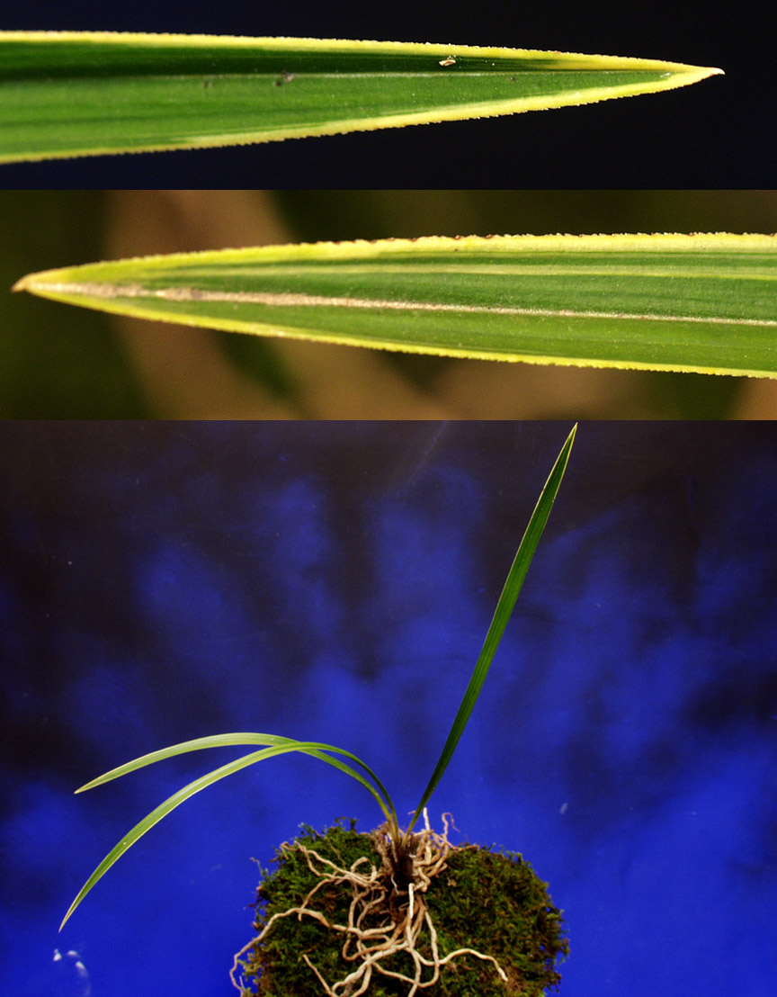 ������ ū������ �� �� �ֽ��ϴ�.