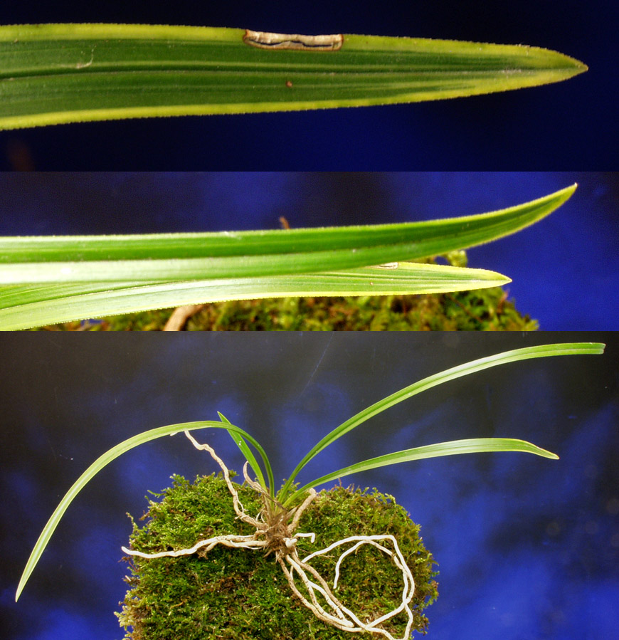 ������ ū������ �� �� �ֽ��ϴ�.