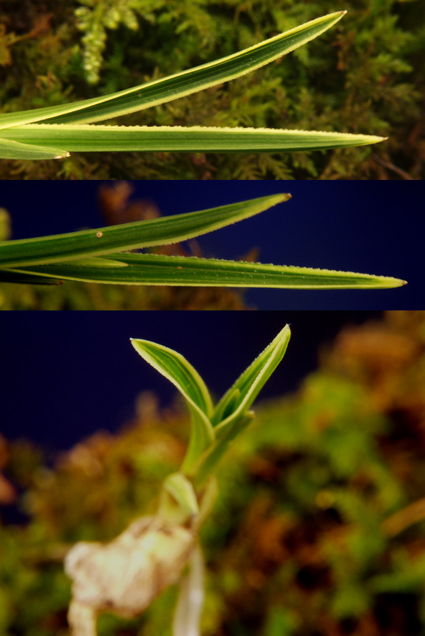 ������ ū������ �� �� �ֽ��ϴ�.