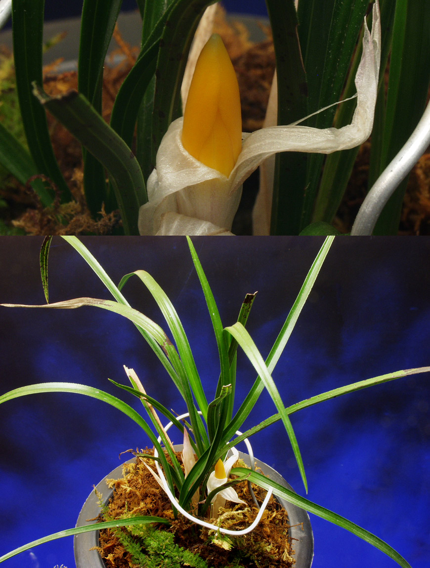 ������ ū������ �� �� �ֽ��ϴ�.