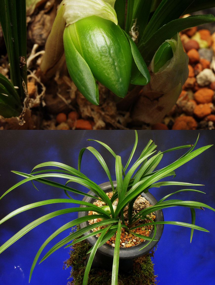 ������ ū������ �� �� �ֽ��ϴ�.