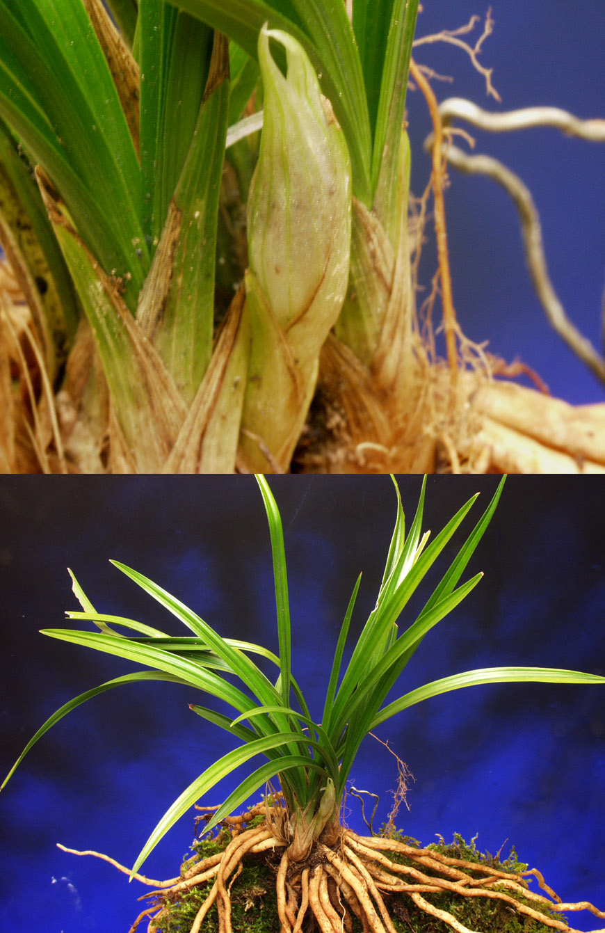 ������ ū������ �� �� �ֽ��ϴ�.