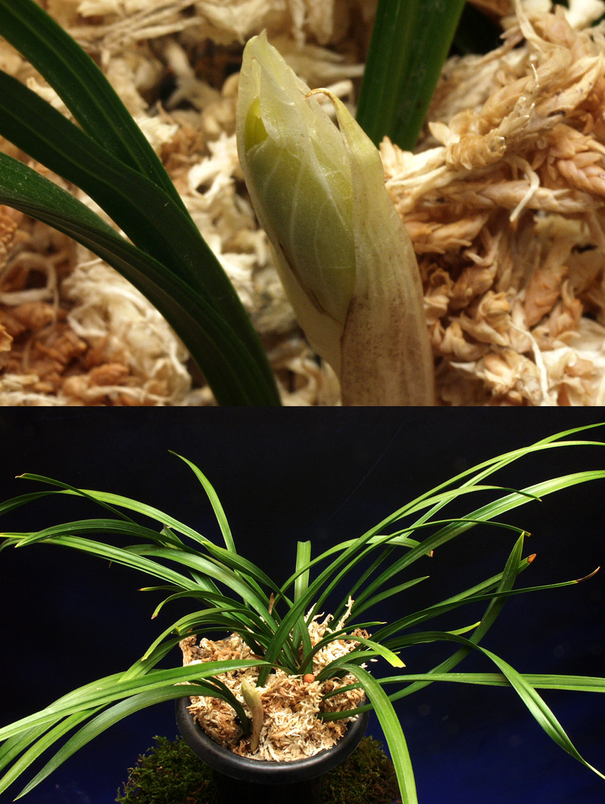 ������ ū������ �� �� �ֽ��ϴ�.