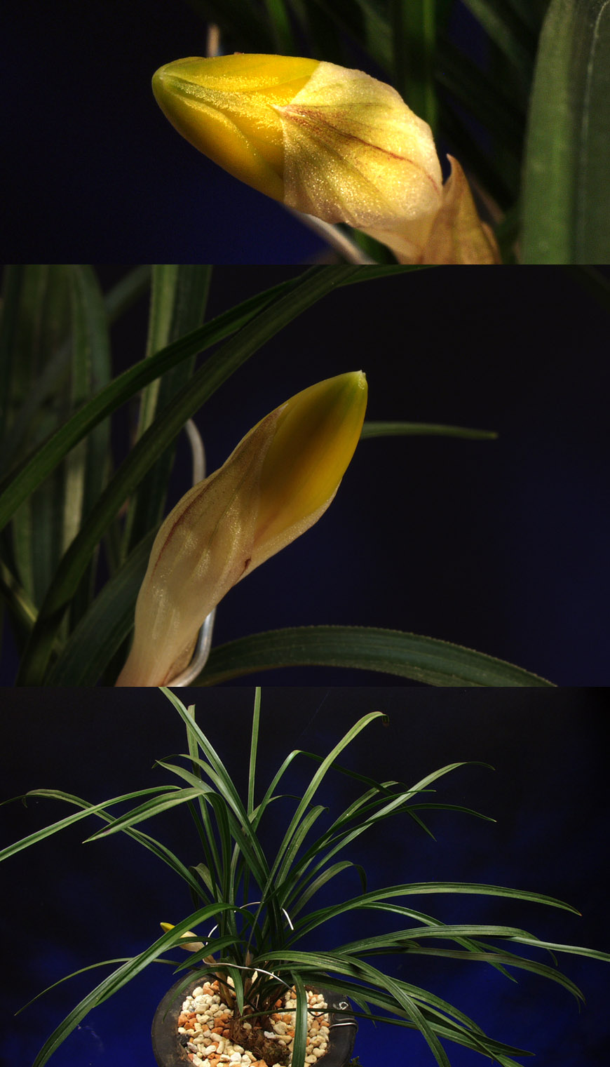 ������ ū������ �� �� �ֽ��ϴ�.