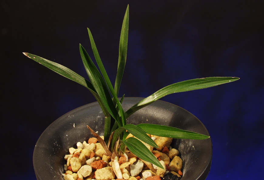 ������ ū������ �� �� �ֽ��ϴ�.