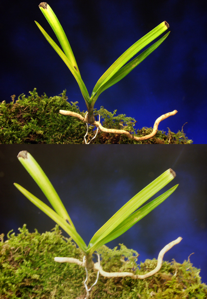 ������ ū������ �� �� �ֽ��ϴ�.