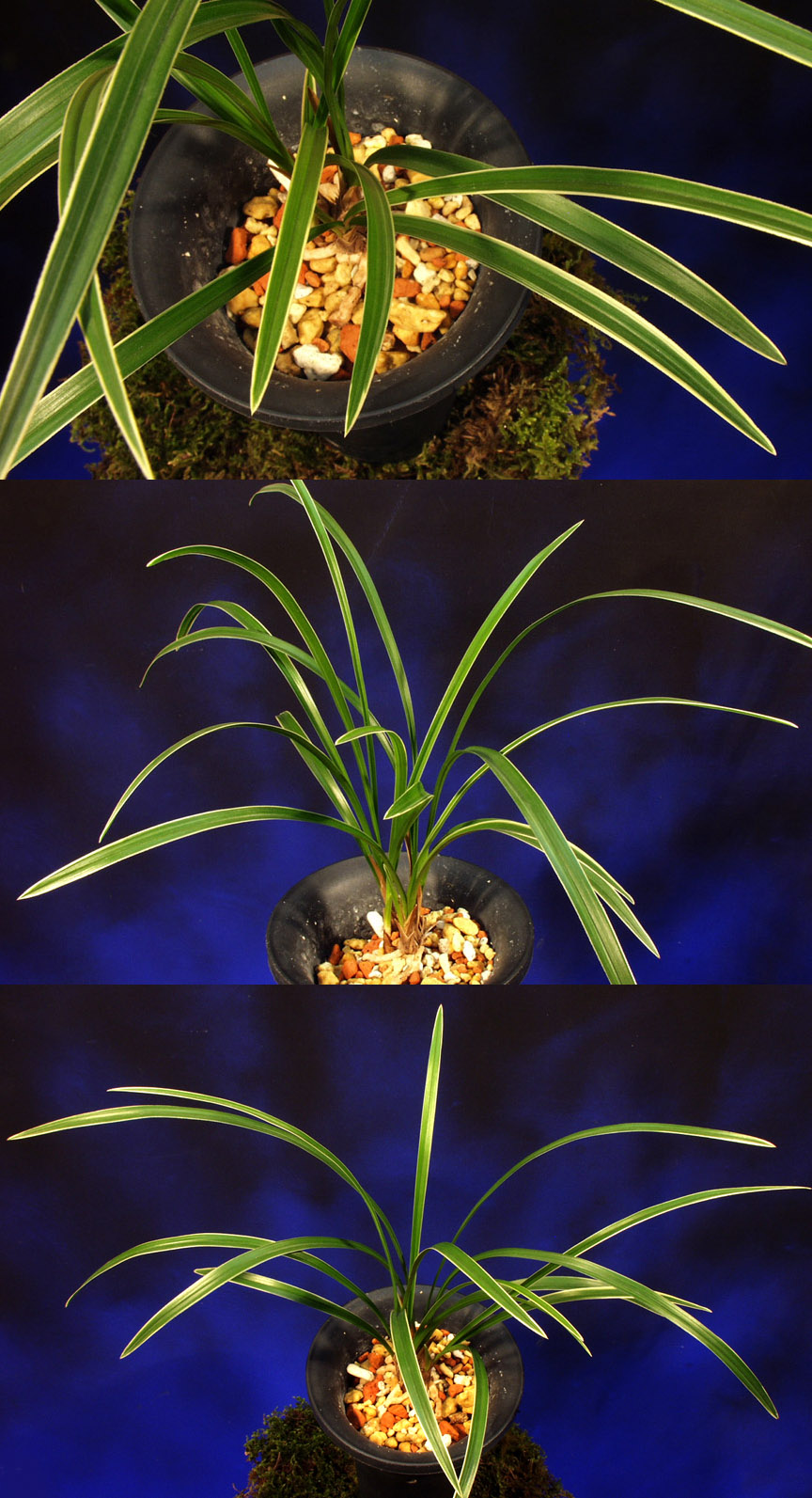 ������ ū������ �� �� �ֽ��ϴ�.