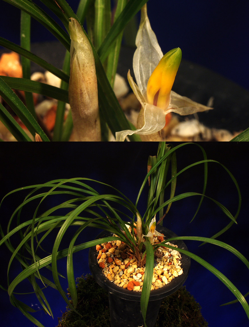 ������ ū������ �� �� �ֽ��ϴ�.