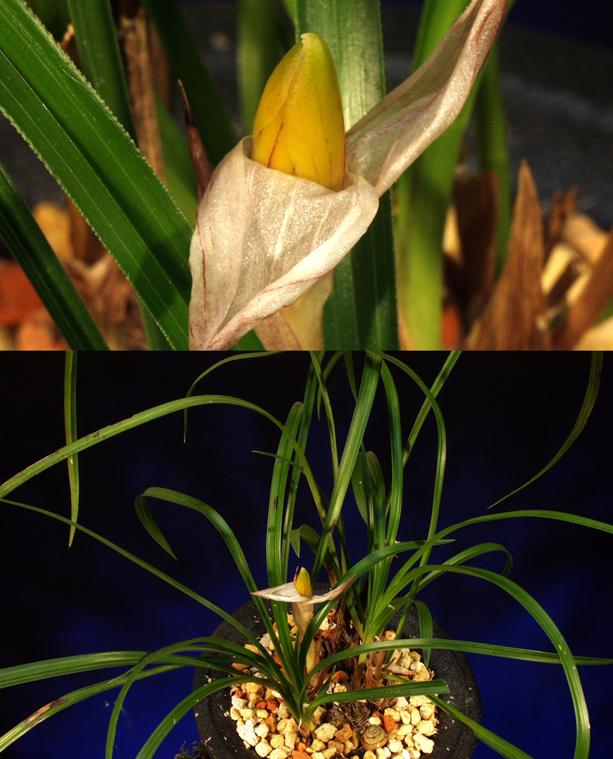 ������ ū������ �� �� �ֽ��ϴ�.