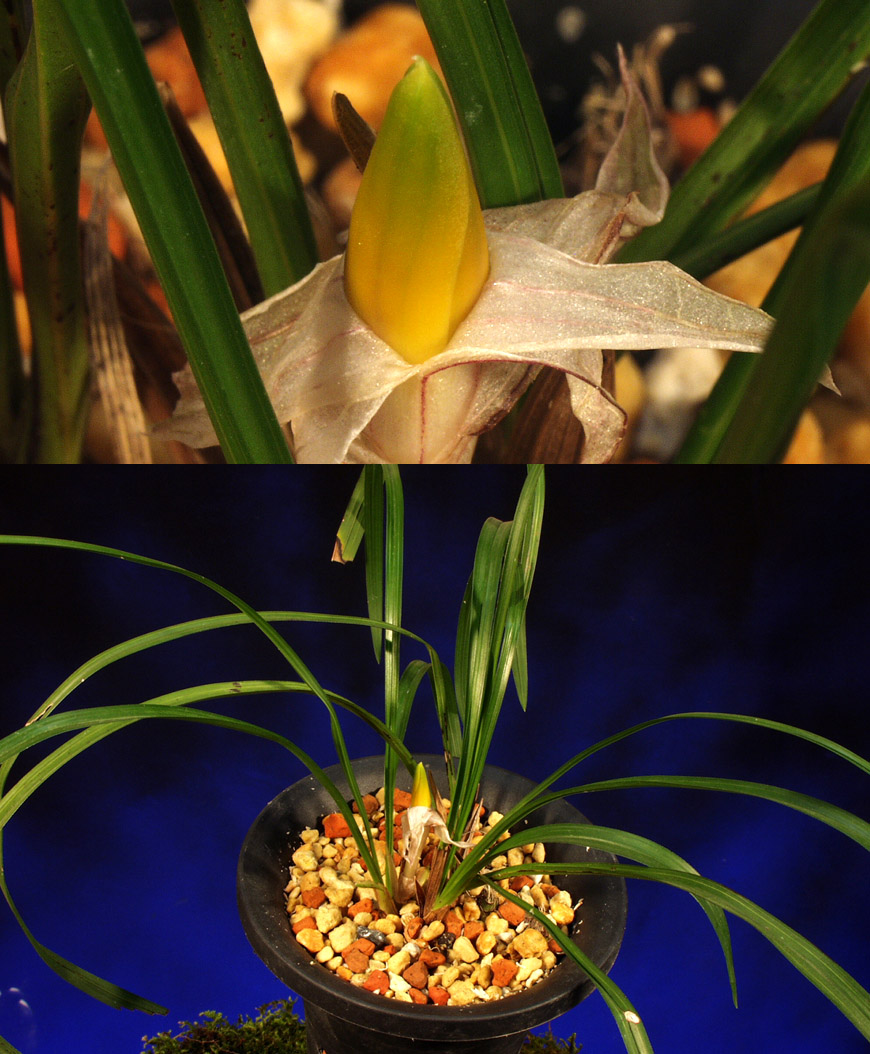 ������ ū������ �� �� �ֽ��ϴ�.