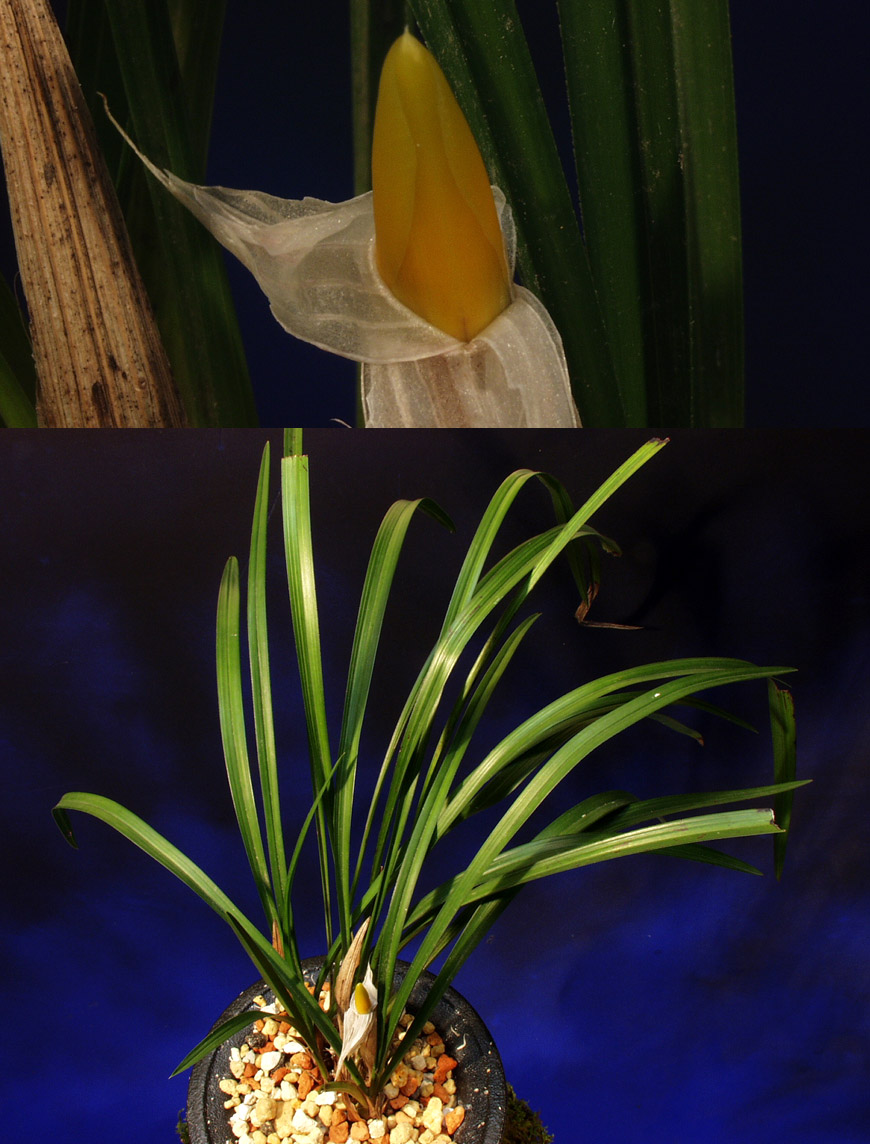 ������ ū������ �� �� �ֽ��ϴ�.