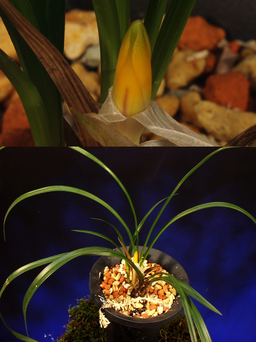 ������ ū������ �� �� �ֽ��ϴ�.