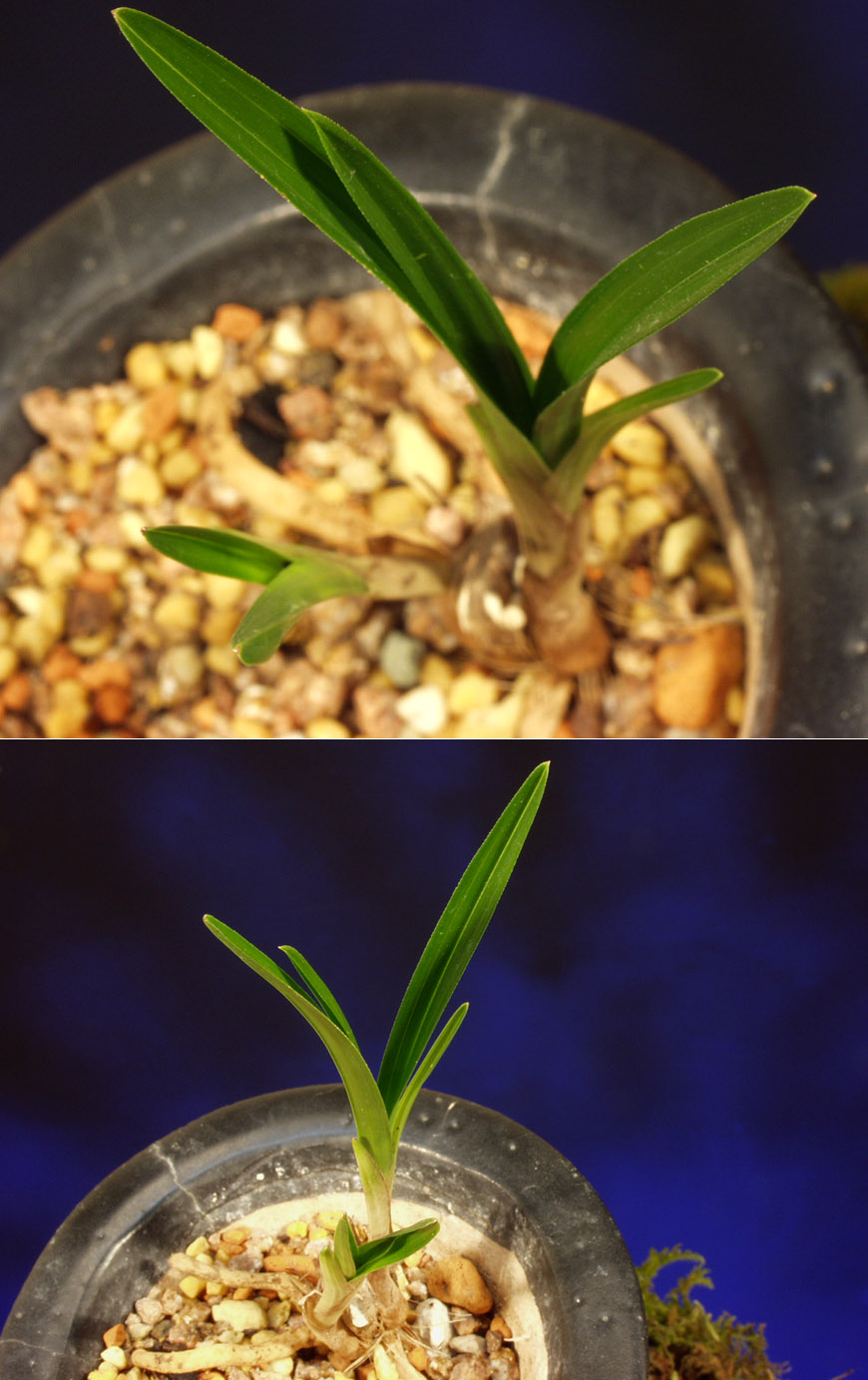 ������ ū������ �� �� �ֽ��ϴ�.