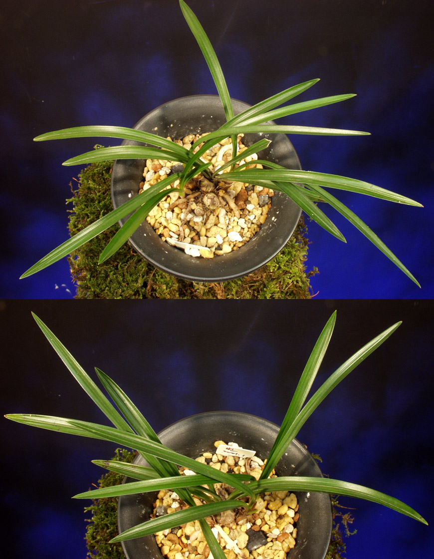 ������ ū������ �� �� �ֽ��ϴ�.