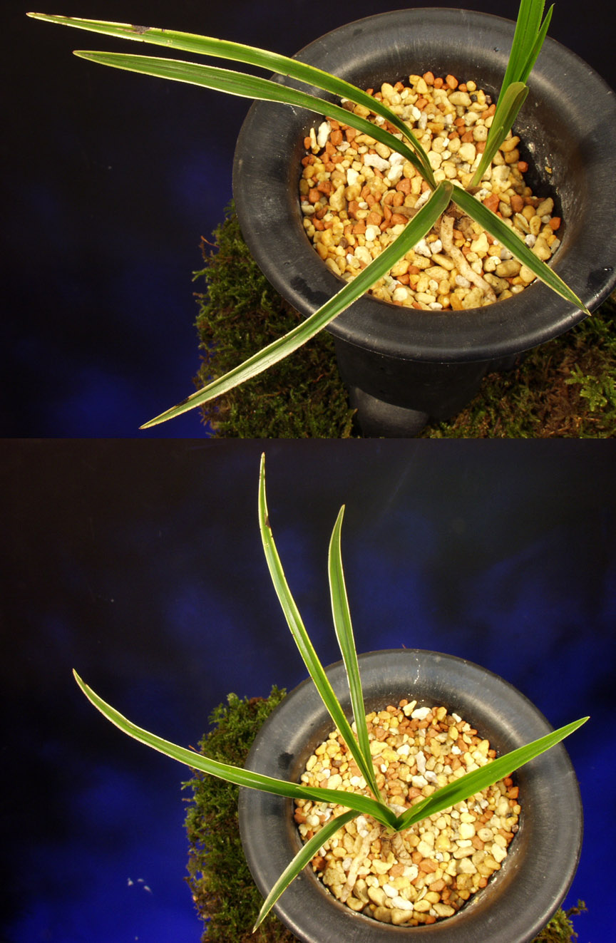 ������ ū������ �� �� �ֽ��ϴ�.