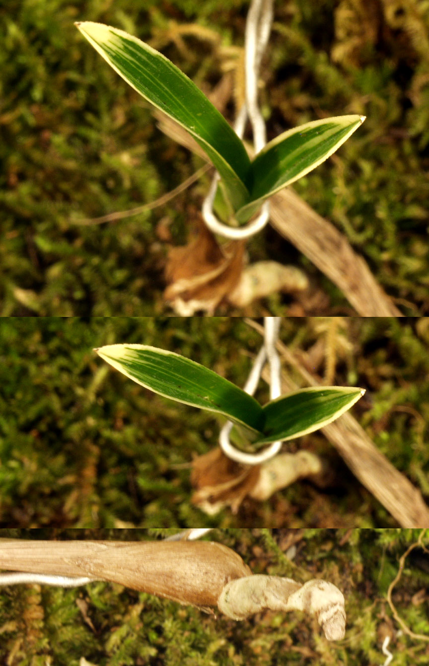 ������ ū������ �� �� �ֽ��ϴ�.