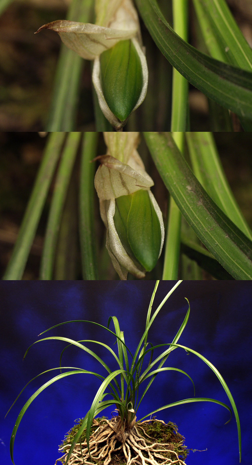 ������ ū������ �� �� �ֽ��ϴ�.