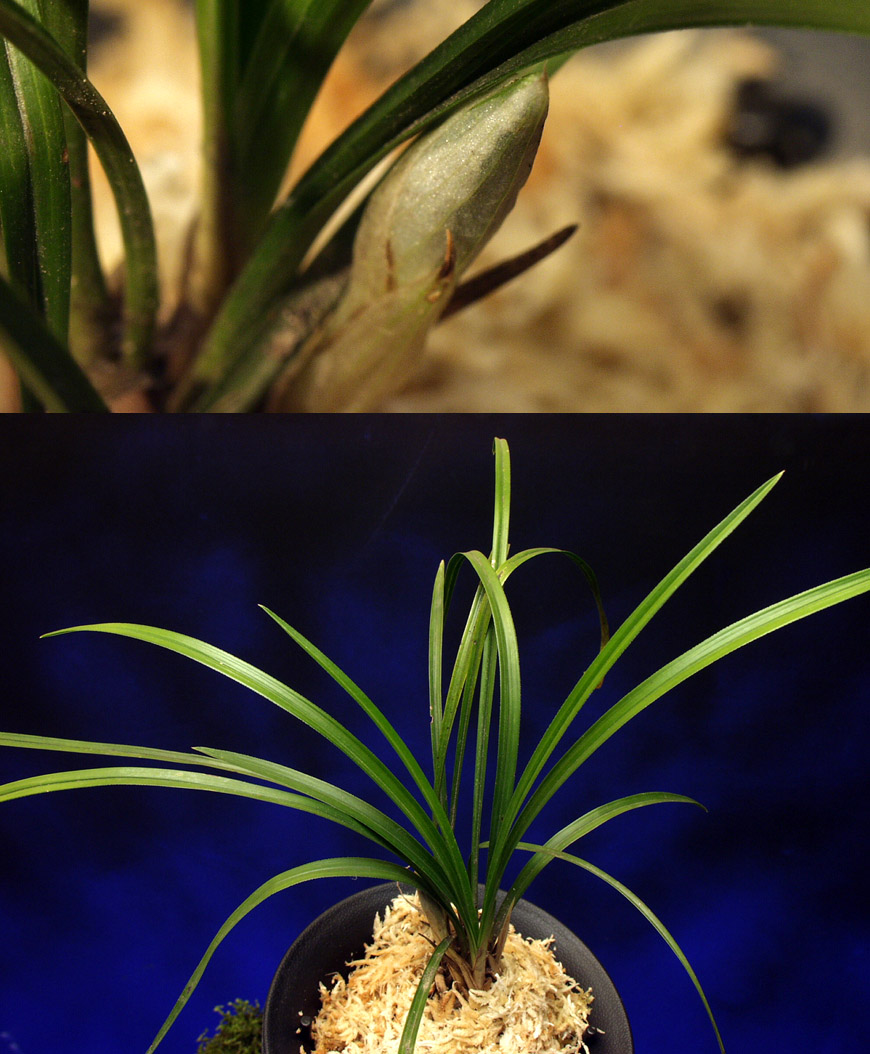 ������ ū������ �� �� �ֽ��ϴ�.