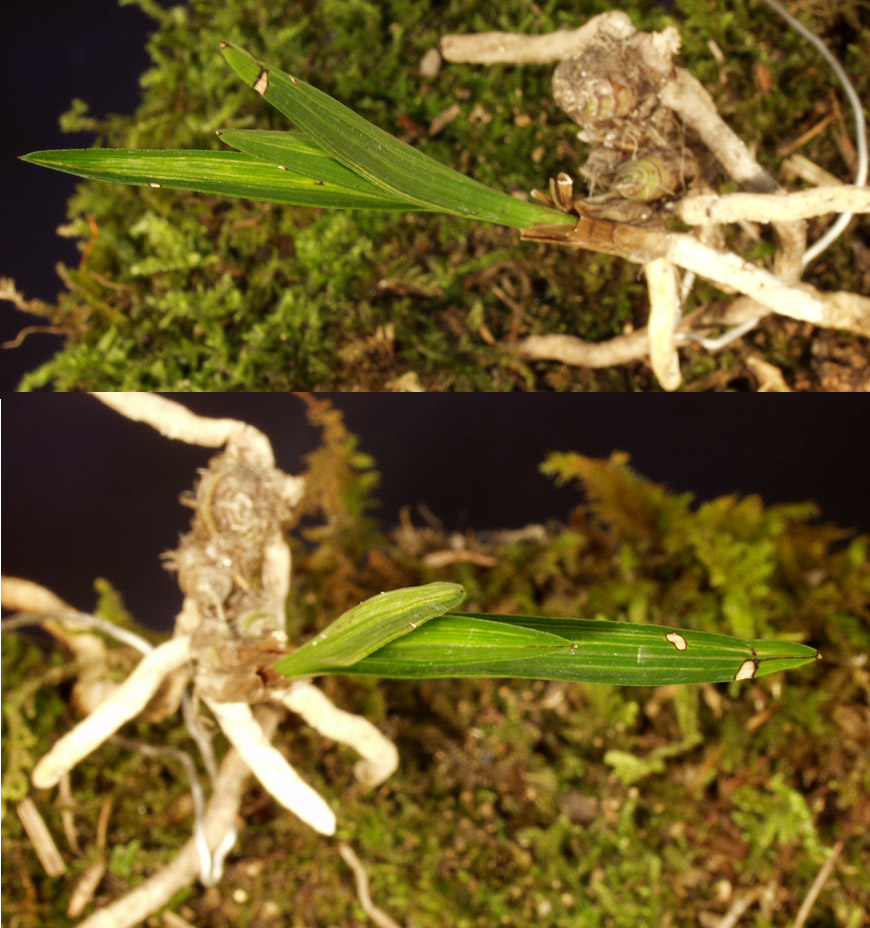 ������ ū������ �� �� �ֽ��ϴ�.