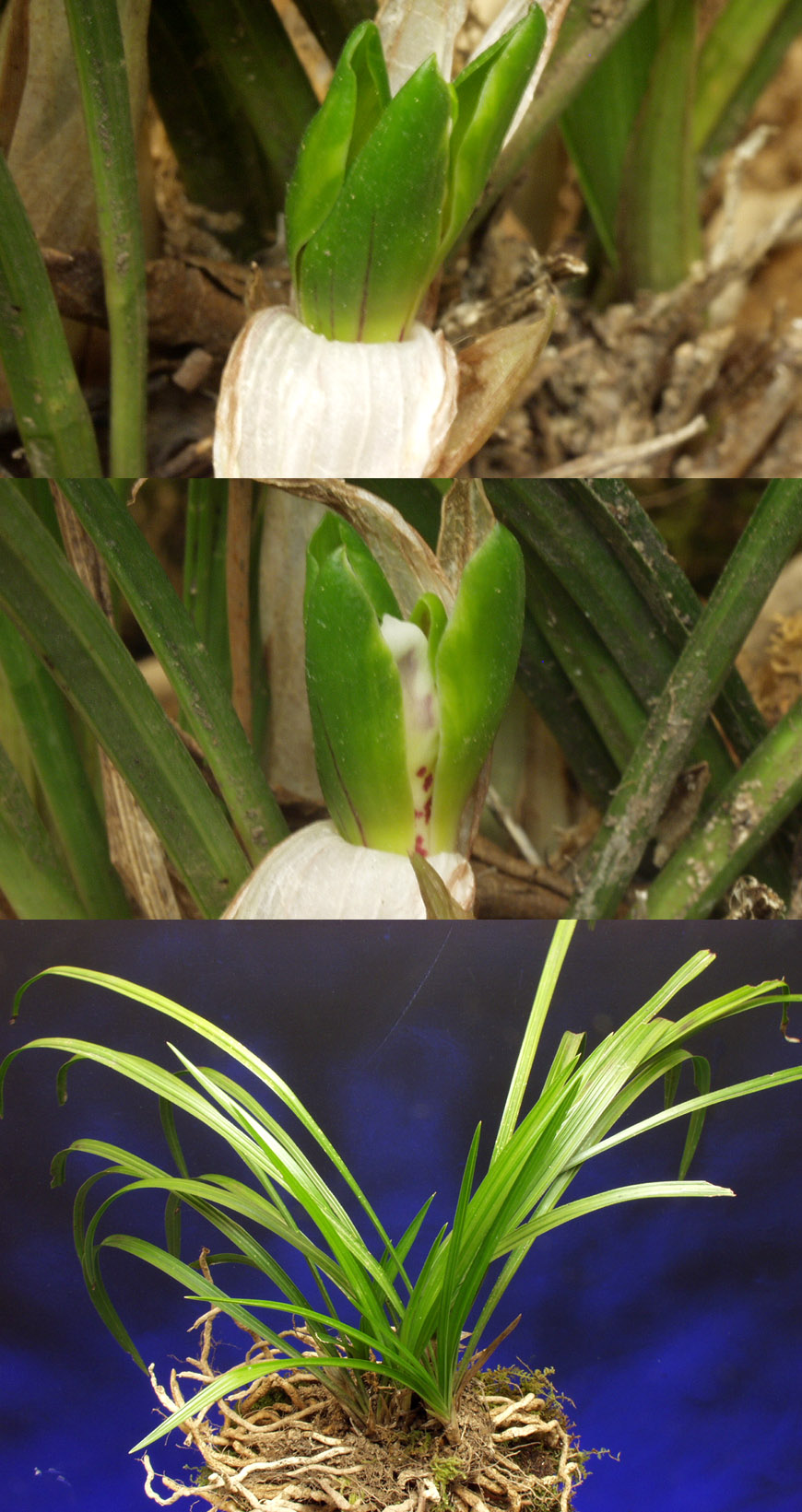 ������ ū������ �� �� �ֽ��ϴ�.