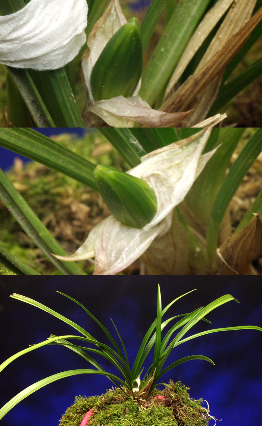 ������ ū������ �� �� �ֽ��ϴ�.