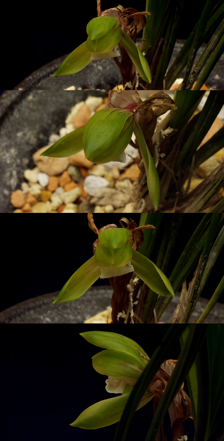 ������ ū������ �� �� �ֽ��ϴ�.