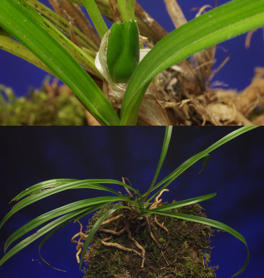 ������ ū������ �� �� �ֽ��ϴ�.