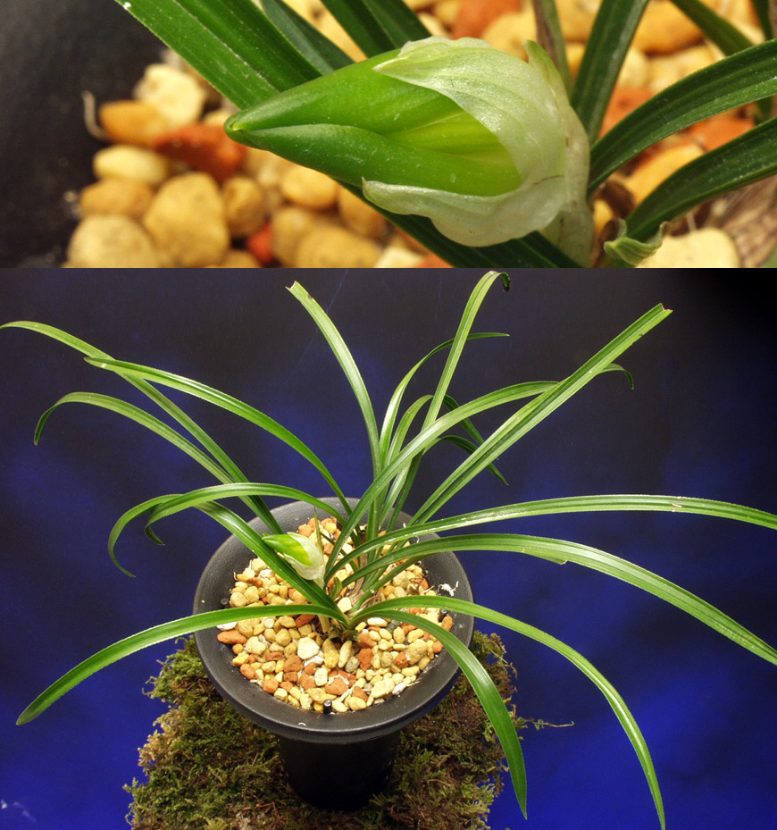 ������ ū������ �� �� �ֽ��ϴ�.