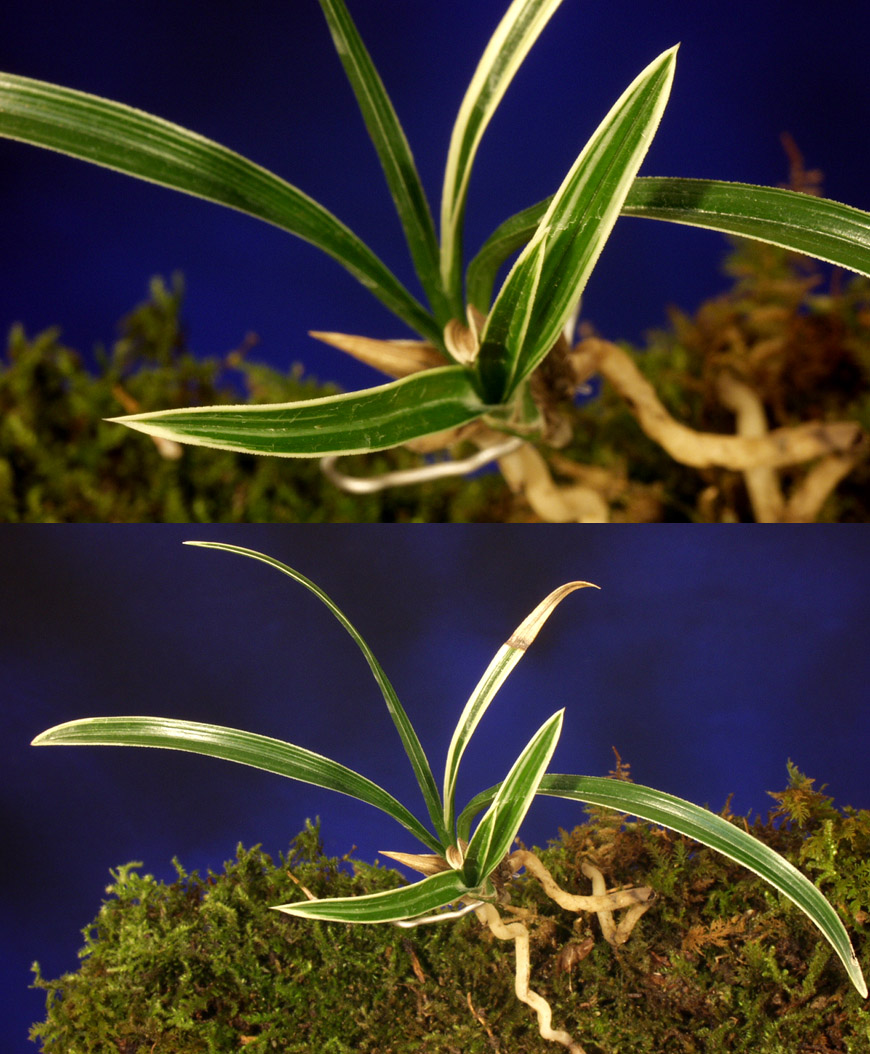 ������ ū������ �� �� �ֽ��ϴ�.