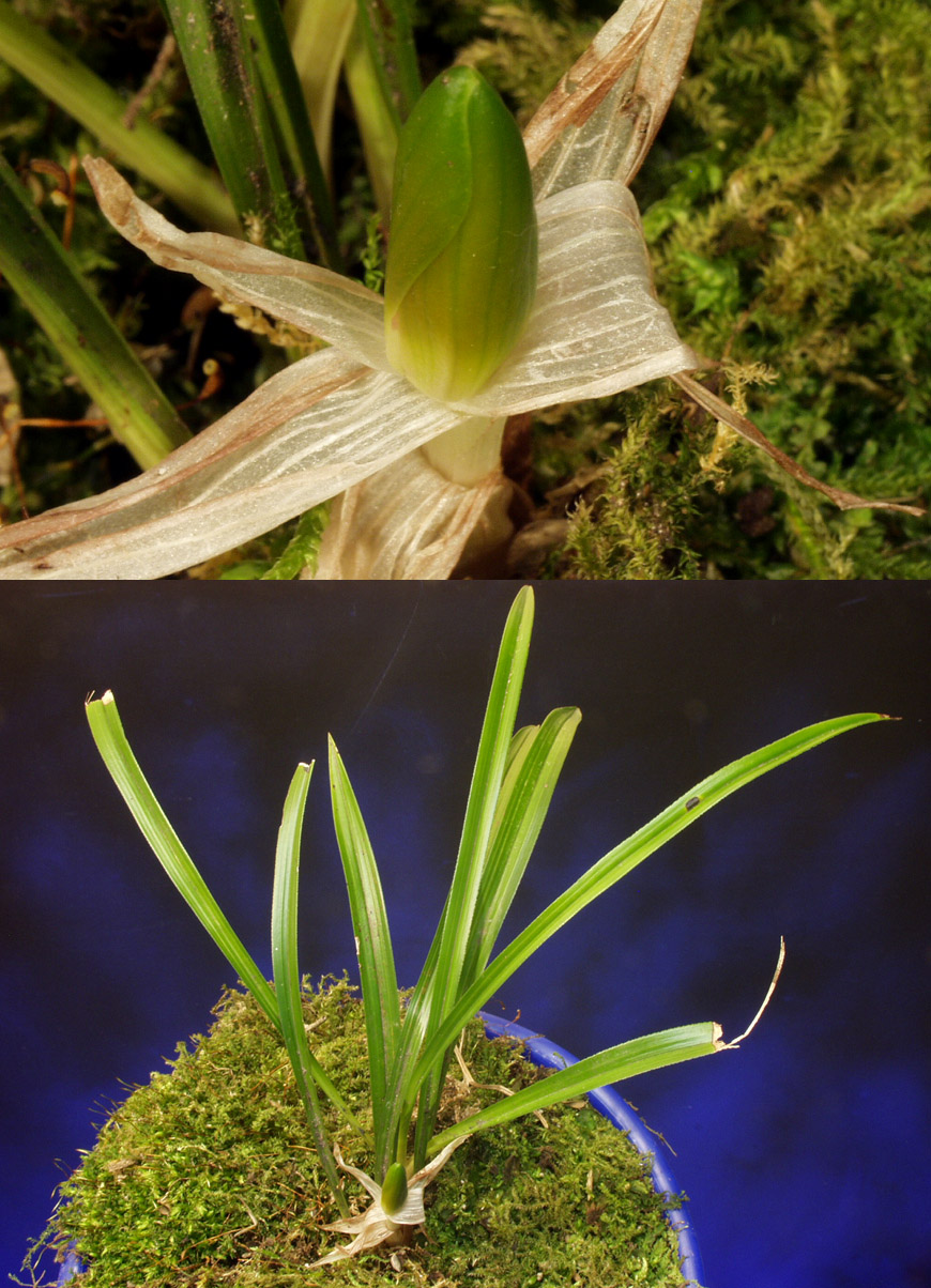 ������ ū������ �� �� �ֽ��ϴ�.