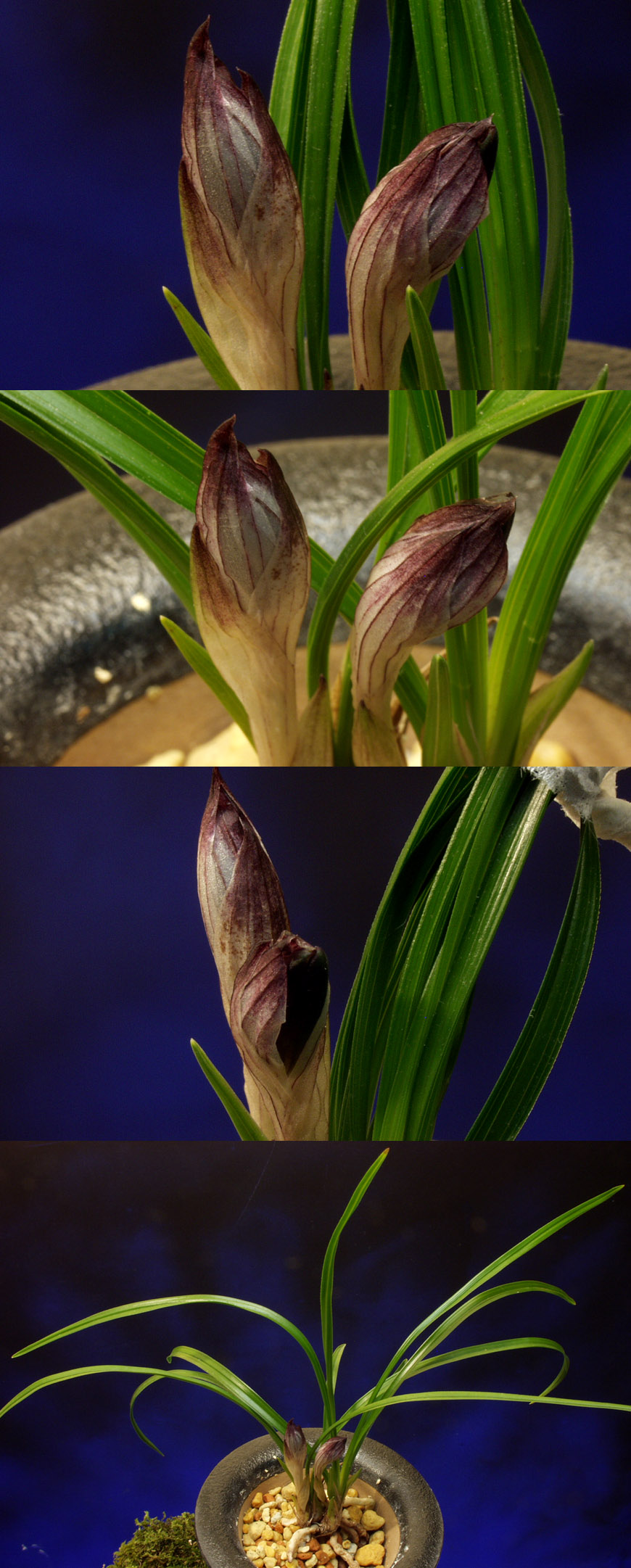 ������ ū������ �� �� �ֽ��ϴ�.