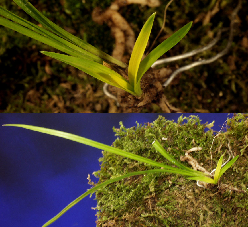 ������ ū������ �� �� �ֽ��ϴ�.