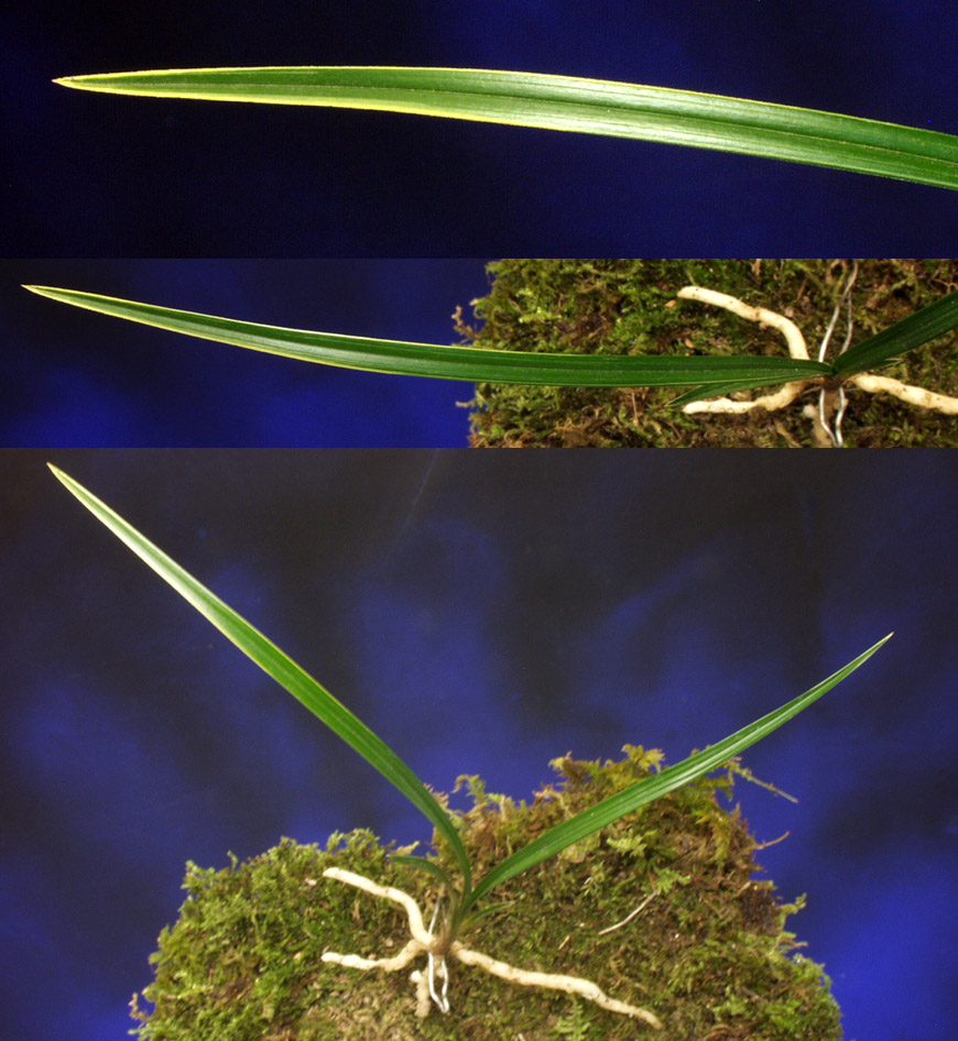 ������ ū������ �� �� �ֽ��ϴ�.