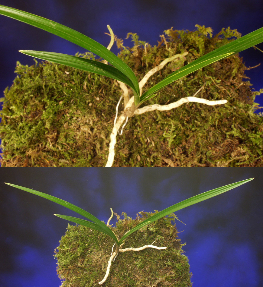 ������ ū������ �� �� �ֽ��ϴ�.