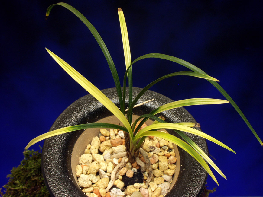 ������ ū������ �� �� �ֽ��ϴ�.