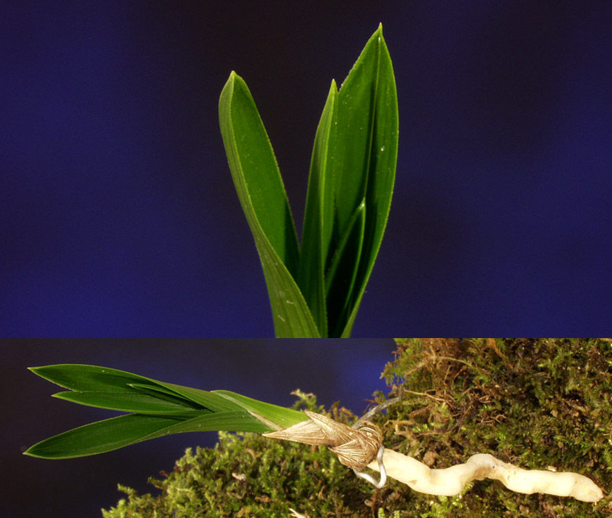 ������ ū������ �� �� �ֽ��ϴ�.