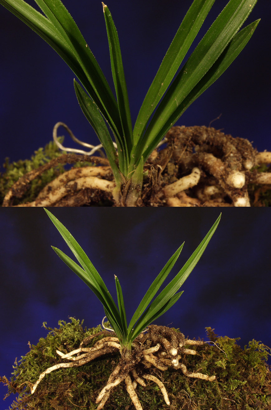 ������ ū������ �� �� �ֽ��ϴ�.