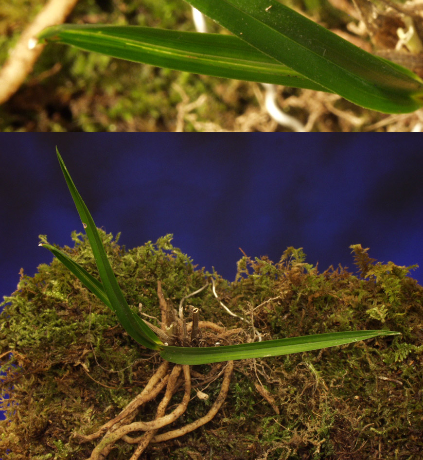 ������ ū������ �� �� �ֽ��ϴ�.