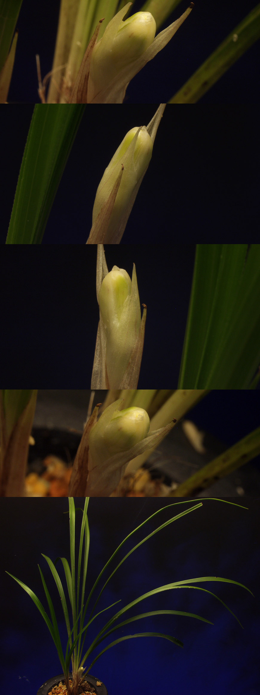 ������ ū������ �� �� �ֽ��ϴ�.