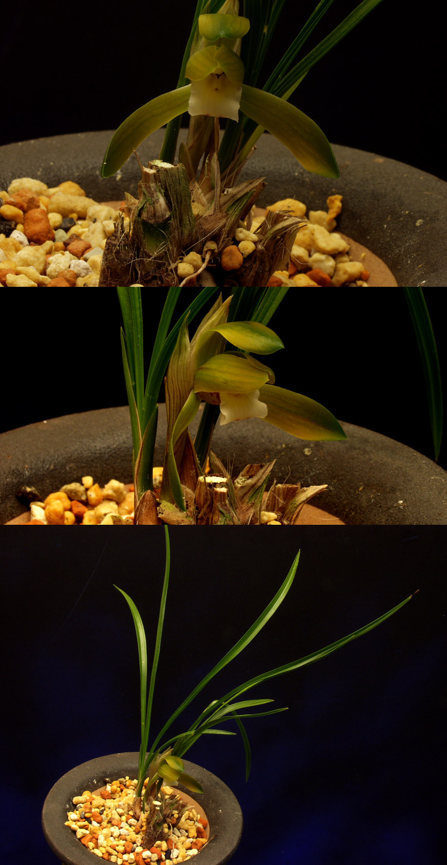 ������ ū������ �� �� �ֽ��ϴ�.