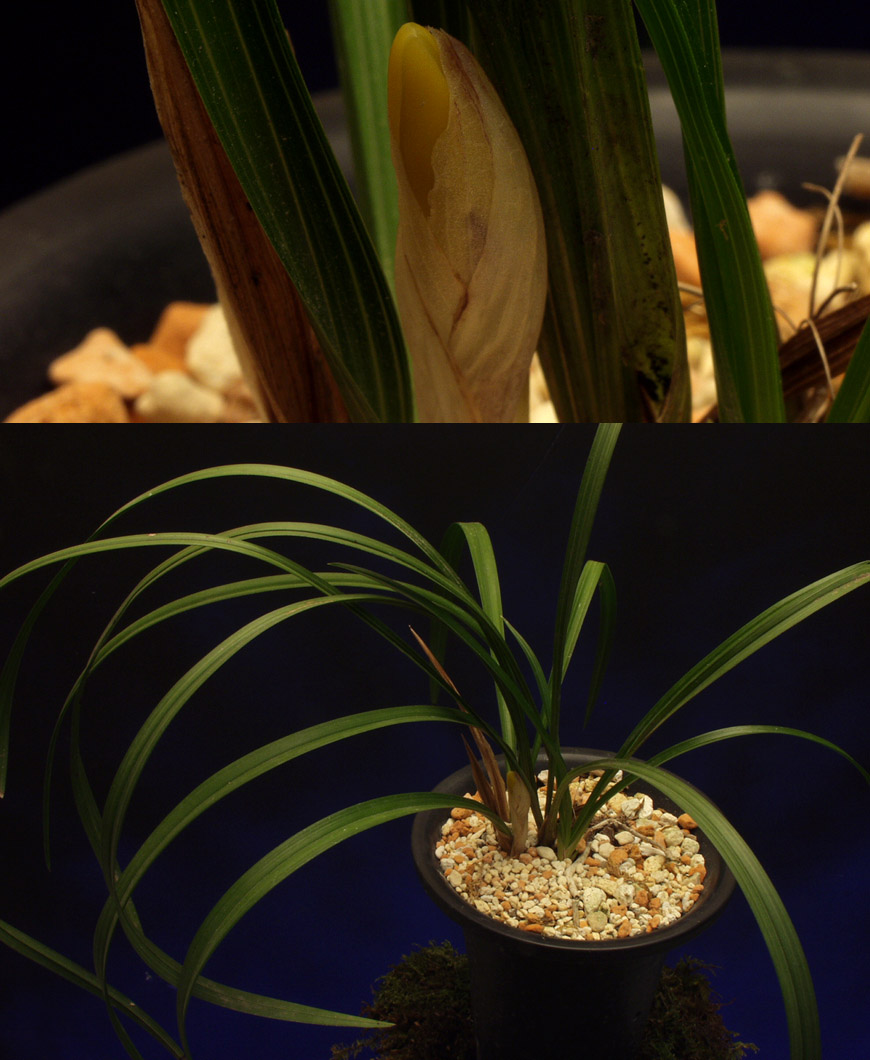 ������ ū������ �� �� �ֽ��ϴ�.