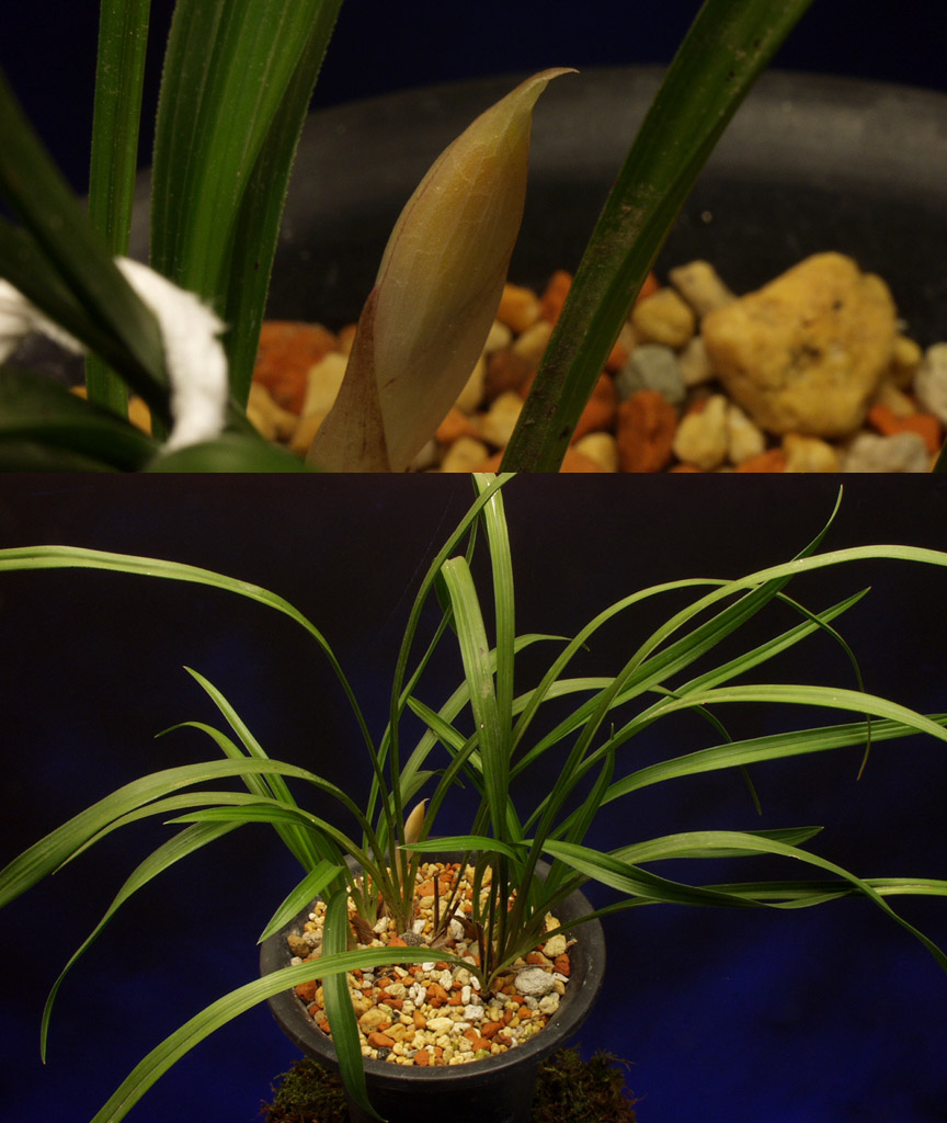 ������ ū������ �� �� �ֽ��ϴ�.