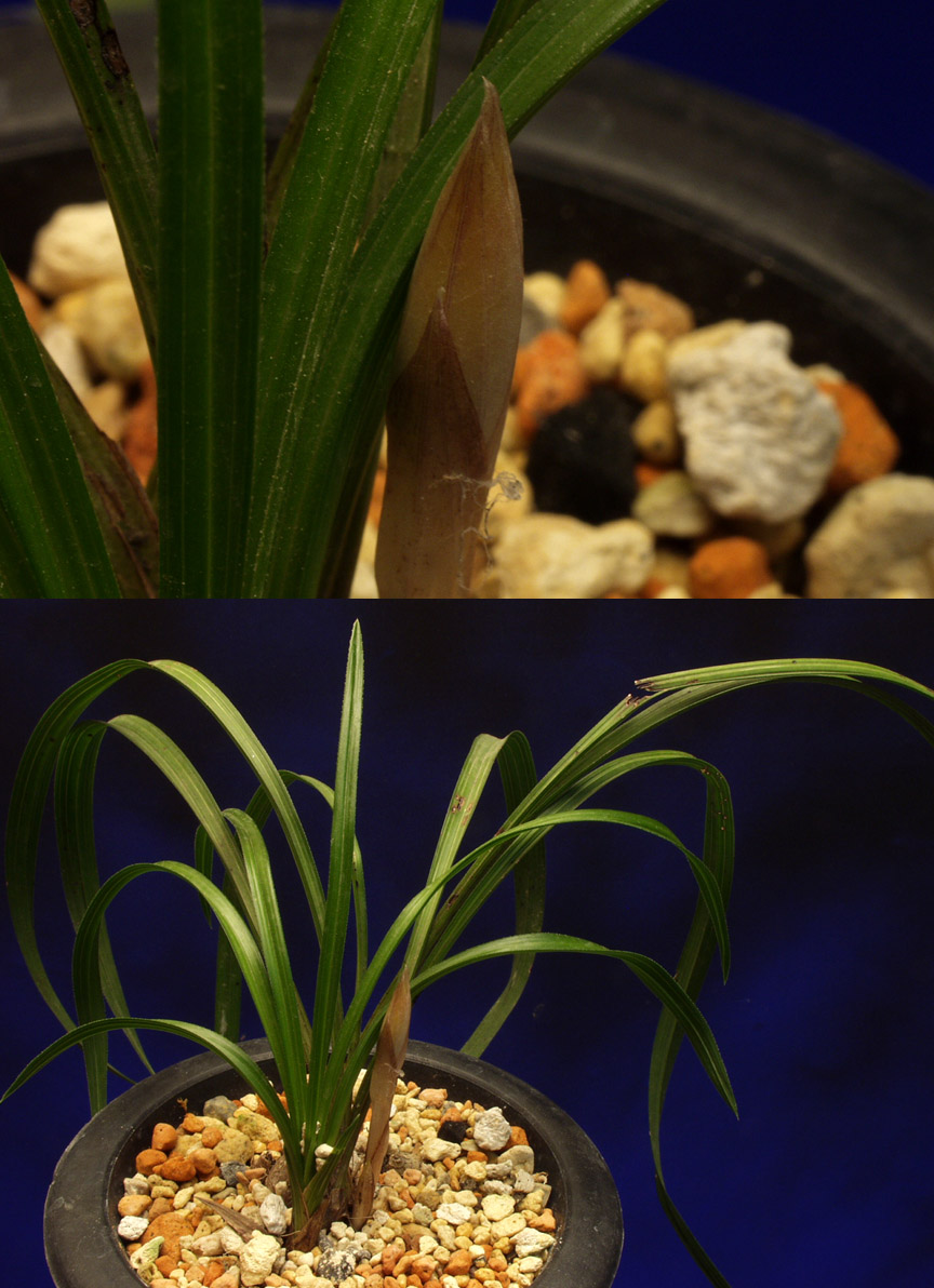 ������ ū������ �� �� �ֽ��ϴ�.